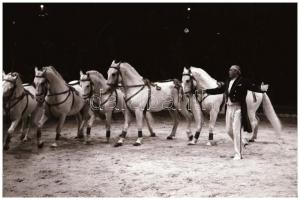 cca 1977 Budapesti Cirkusz, Kalocsai Rudolf (?-?) budapesti fotóriporter és fotóművész hagyatékából,...