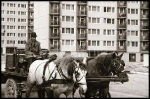 cca 1977 Budapest, Kőbánya, Kalocsai Rudolf (?-?) budapesti fotóriporter és fotóművész hagyatékából,...