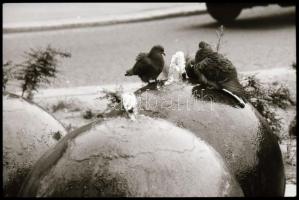 cca 1977 Budapest, Kőbánya, Kalocsai Rudolf (?-?) budapesti fotóriporter és fotóművész hagyatékából,...