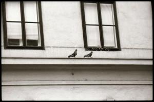 cca 1977 Budapest, Kőbánya, Kalocsai Rudolf (?-?) budapesti fotóriporter és fotóművész hagyatékából,...