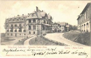 1902 Tátrafüred, Ótátrafüred, Altschmecks, Stary Smokovec; Gróf Csáky ház / villa