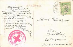 1916 Vinga, Piac tér. W.L. Bp. 5433. / market square (EK)