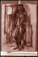 Akt a képzőművészetben, 8 db NEGATÍV felvétel különféle grafikai alkotásokról, 24x36 mm és 4,8x6,8 c...