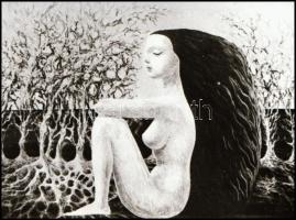 Akt a képzőművészetben, 8 db NEGATÍV felvétel különféle grafikai alkotásokról, 24x36 mm és 4,8x6,8 c...