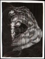 Akt a képzőművészetben, 8 db NEGATÍV felvétel különféle grafikai alkotásokról, 24x36 mm és 4,8x6,8 c...