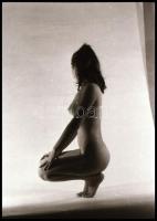 cca 1983 Marinkay István (1920-?) veszprémi fotóművész hagyatékából 13 db vintage NEGATÍV, 36x24 mm