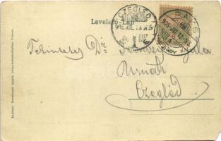 1905 Paks, Daróczy kastély, M. kir. postahivatal. Rosenbaum Ignác kiadása (EM)