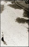 cca 1933 Budapest, rendőr a Győri úton, vintage NEGATÍV feliratozott tasakban Bojár Sándor (1914-2000) fotóriporter hagyatékából, 5,8x4 cm