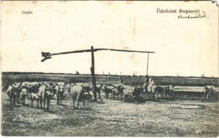 1917 Bugac, Itatás, magyar folklór. Komor Gyula kiadása (EM)