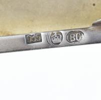 Ezüst(Ag) bordázott négyzethálós szivarka- vagy névjegykártyatartó, jelzett, 7,8×4,5×1 cm, nettó: 52...