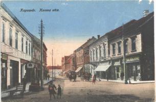 1921 Kaposvár, Korona utca és szálloda, üzletek (szakadások / tears)