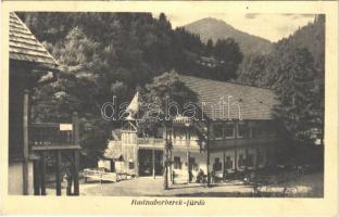 Radnaborberek, Borberek-fürdő, Valea Vinului; szálló / hotel, villa (EK)