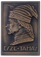 Solymári Valkó László (1909-1984) 1954. Esze Tamás Br plakett (91x66mm) T:1- Hungary 1954. Tamás Esze Br plaque. Sign.: László Solymári Valkó (91x66mm) C:AU
