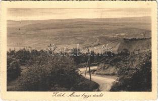1914 Zilah, Zalau; Meszes hegyi részlet. Seres Samu kiadása / general view