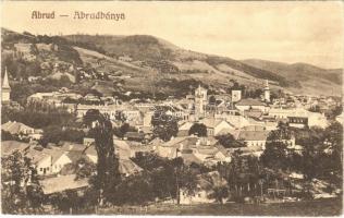 1925 Abrudbánya, Abrud; látkép / general view (EK)