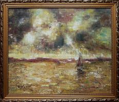 Sólyom Tibor (1978-) Aranyló tenger; olaj-vászon, szignált keretben 66x58 cm