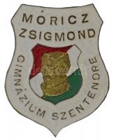 DN Móricz Zsigmond Gimnázium Szentendre zománcozott fém jelvény T:2