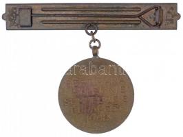 1968. "Semmelweis Ignácz Fülöp 1818-1865" kétoldalas Br érem (30mm), névtáblás kitűzőre fű...