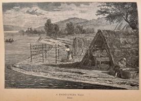 Herman Ottó: A magyar halászat könyve. I. köt. Bp, 1887., K. M. Természettudományi Társulat, XV + 55...