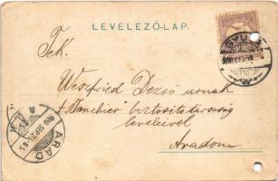 1900 Gyula, Gróf Almásy Dénes kastélya, kastélykerti részlet, park, csónakázók. Dobay János kiadása ...