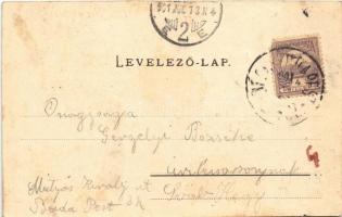 1901 Győr, Újváros, zsinagóga, híd. Nitsmann József kiadása (vágott / cut)