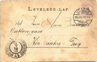 1899 Kőszeg, Güns; látkép. Róth Jenő kiadása (EB)