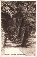1934 Keszthely, Park részlet évszázados fákkal. Uy Kálmán photo (EK)