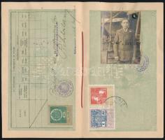 1920 Bp., Magyar Királyság által kiállított fényképes útlevél, Köztársaság felirat áthúzva