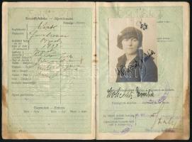 1929 Bp., Magyar Királyság által kiállított fényképes útlevél, foltos / Hungarian passport with fault