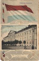 1907 Lugos, Lugoj; Vármegyeház. Auspitz Adolf kiadása. Szecessziós zászlós keret / county hall. Art Nouveau frame with flag (EM)