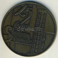 1996. "25 éves a Studium Generale" Br emlékérem T:2