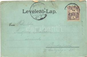 1900 Stájerlak, Steierlak, Stájerlakanina, Steierdorf, Anina; látkép. Hollschütz kiadása / general v...