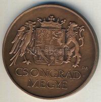 DN "Csongrád megye" Br emlékérem T:BU