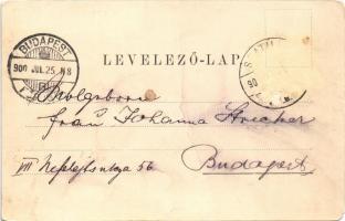 1900 Szatmárnémeti, Szatmár, Satu Mare; látkép. Löwy M. kiadása / general view. Art Nouveau frame (E...