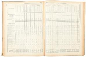 A magyar korona országainak vasutjai 1897., 1898. és 1899. évben. Szerk.: M. Kir. Központi Statiszti...