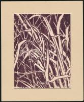 Lukács Ágnes (1920): Levelek. Filc, papír. Jelzett paszpartuban 17x13 cm