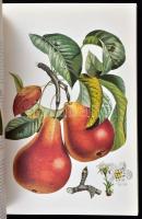 Jacques Brosse: Les Fruits. H.n., 1995, Bibliothéque de l'Image. Papírkötésben, kijáró lapokkal...