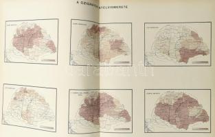 A Magyarországban 1893. január 31-én végrehajtott czigányösszeirás eredményei. 5 grafikai táblázatta...