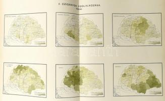 A Magyarországban 1893. január 31-én végrehajtott czigányösszeirás eredményei. 5 grafikai táblázatta...