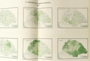 A Magyarországban 1893. január 31-én végrehajtott czigányösszeirás eredményei. 5 grafikai táblázatta...