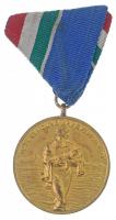 1954. 1954. évi Dunai Árvízvédelemért aranyozott Br kitüntetés mellszalaggal T:1-,2
