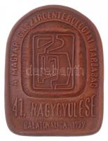 1999. A Magyar Gasztroenterológiai Társaság 41. nagygyűlése - Balatonaliga, 1999 egyoldalas kerámia emlékplakett (68x88mm) T:1-