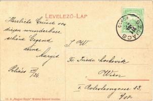 1911 Szliács, Sliac; Park részlet, folklór. 13. A "Magyar Bazár" Waktor Sámuel kiadása / p...