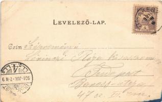 1901 Budakeszi, látkép. Hatschek Emil kiadása (EK)