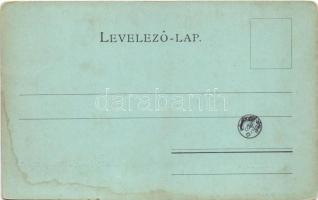 Gödöllő, Királydomb. Schmidt Edgar kiadása (kopott sarkak / worn corners)