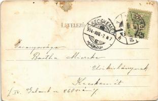 1904 Miskolc, Erzsébet fürdő. Ferenczi B. kiadása (kopott sarkak / worn corners)