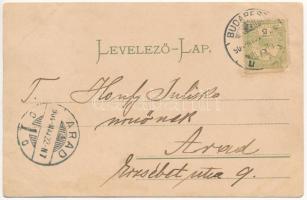 1904 Budapest XIV. Városligeti tó. Brück & Sohn (ázott / wet damage)