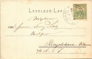 1904 Budapest XIV. Városliget, Szépművészeti Múzeum, csónakázók (EB)