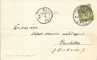 1908 Budapest XIV. Városliget, Vajdahunyad vára. M. T. és F. I. Koch és Pór