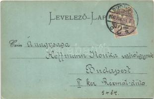 1900 Budapest I. Tabán, Királyi vár, Lánchíd (EK)